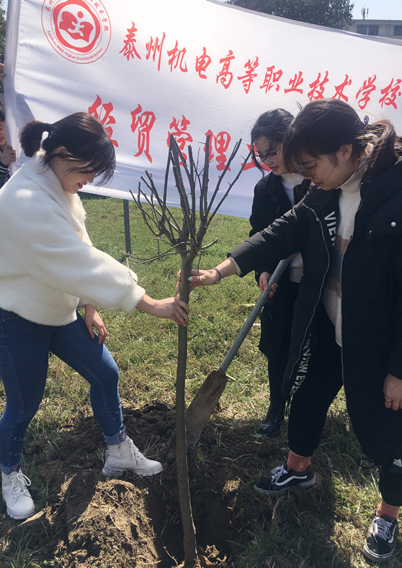经贸系开展植树活动——美化校园系列活动之植树节活动